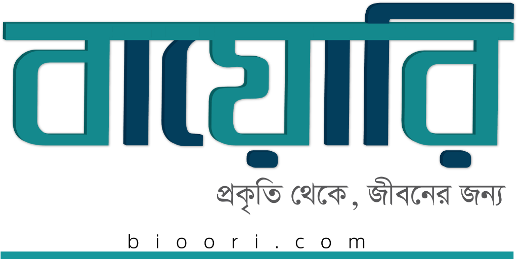 Bishuddha Trading
